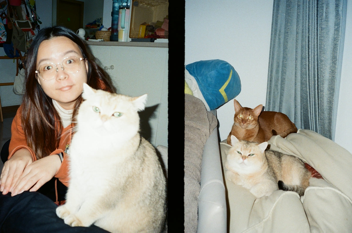 Woman with cat and three cats on sofa