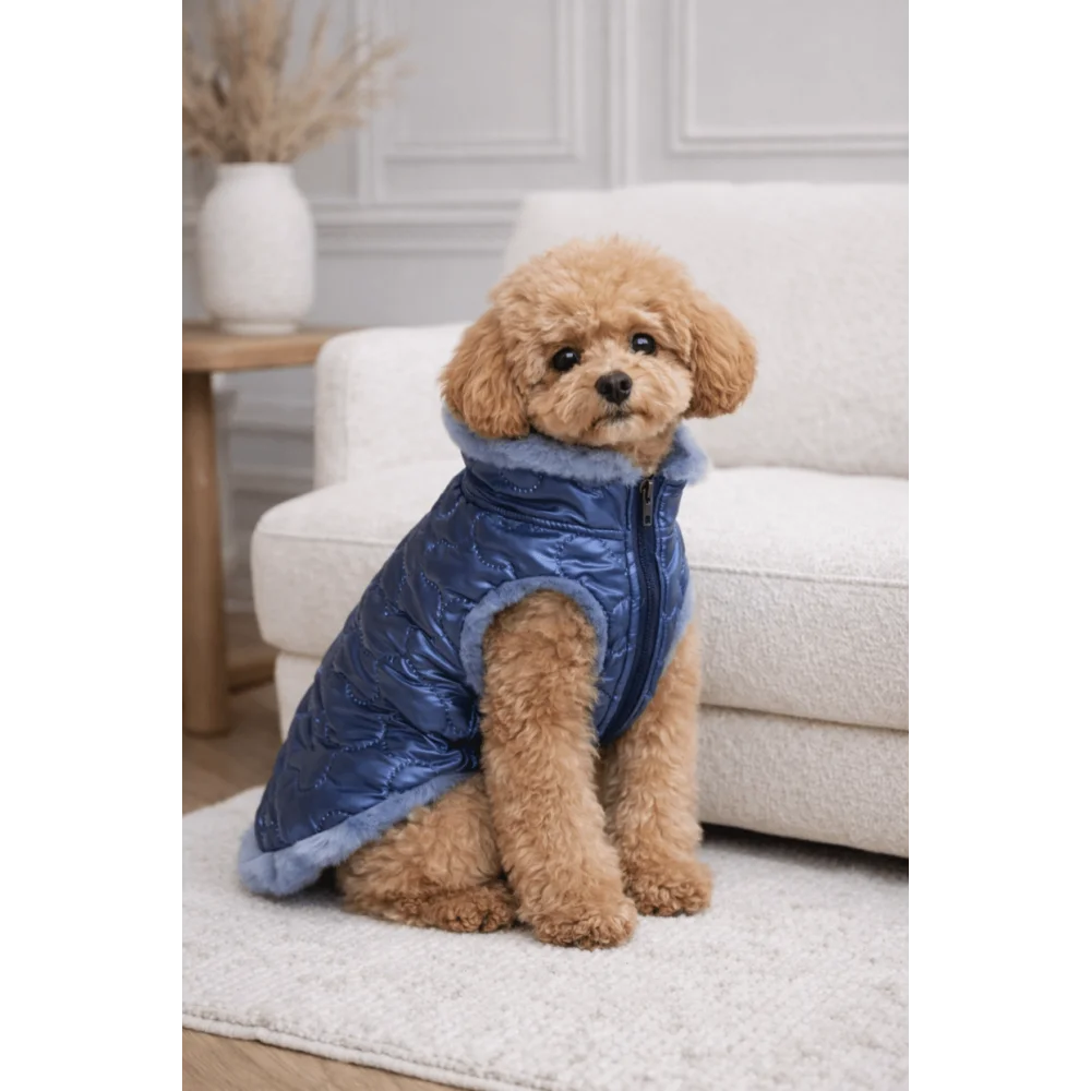 Blue quilted dog vest aura with soft fur trim and zintegrowane podpięcie smyczy in pikowana tkanina premium