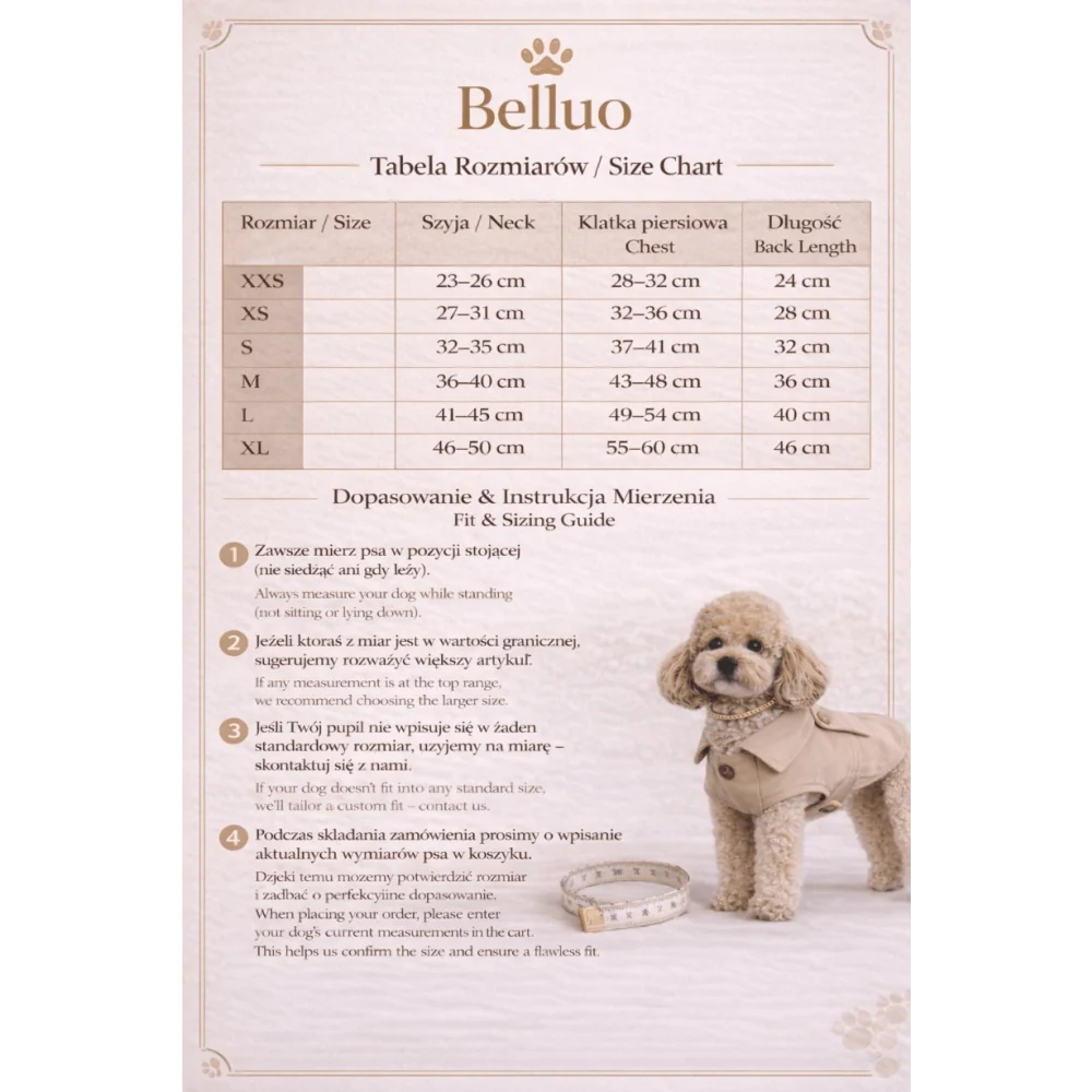 A fluffy beige poodle wearing an oxford classic trencz dla psa with tan wool lining in beige color