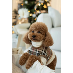 A fluffy brown poodle wearing aura classic szelki wełniane kamizelka naturalnych materiałów in plaid design