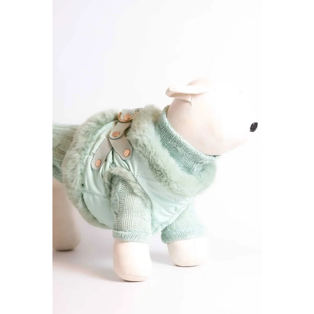 Mint green knitted dog coat with faux fur trim and tan leather straps from zestaw 2w1 etoile anastazja naturalnej wełny