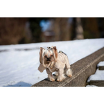A small fluffy yorkshire terrier wearing a beige fleece-lined kombinezon dla psa with detachable hood and silver hardware