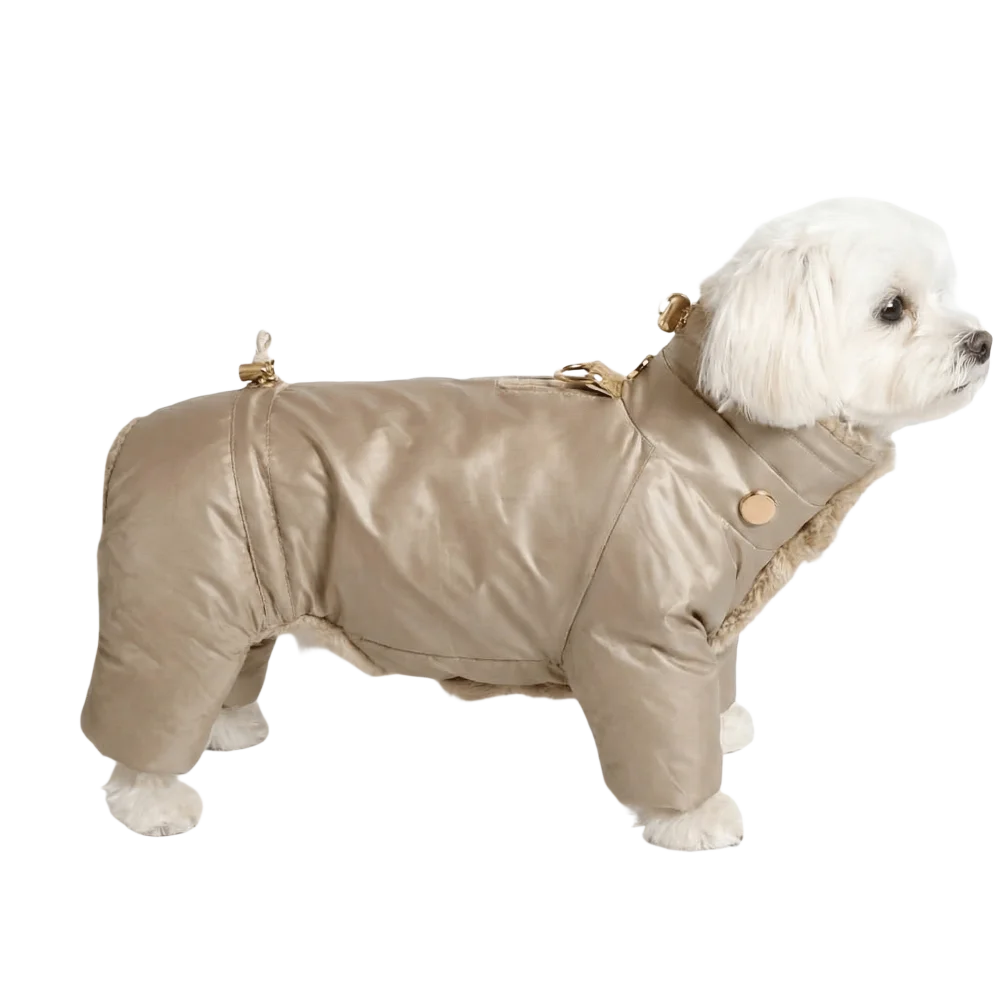 Beige shiny puffer kombinezon dla psa with gold-tone hardware and detachable faux fur collar for cold weather