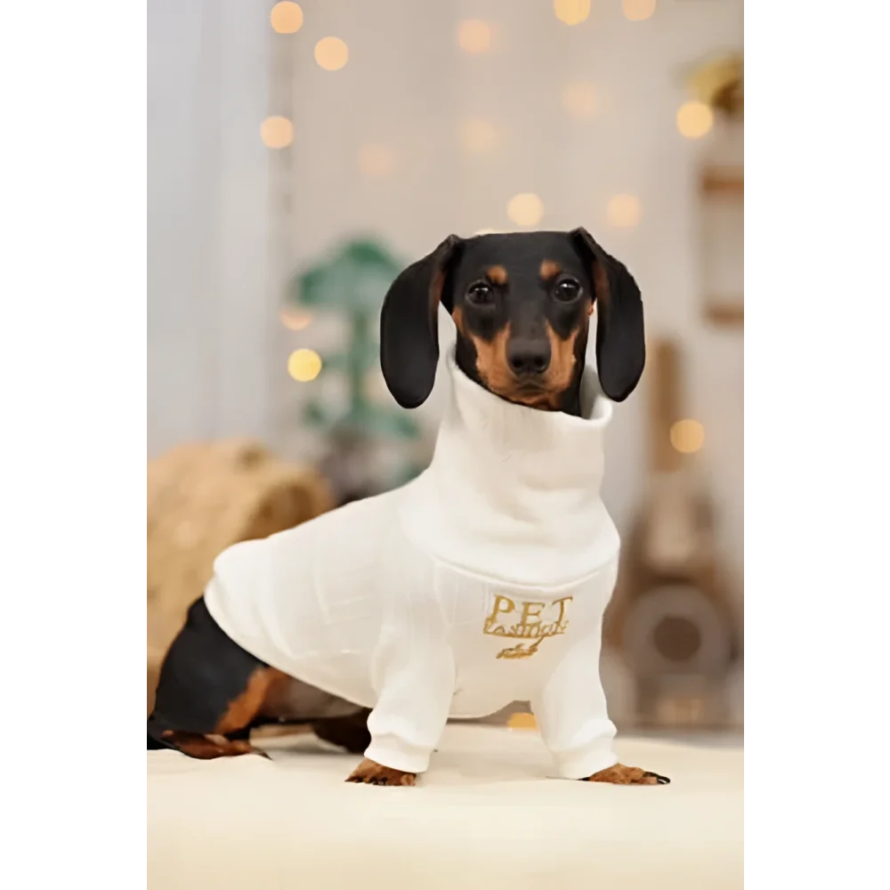 Beige sweterek wełniany dla psa with a turtleneck that chroni szyję pupila featuring gold pet embroidery