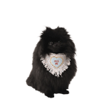 A fluffy black pomeranian wearing a cream pluszowe serduszko chusta hug luxury dog accessory