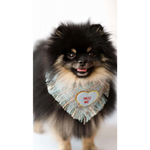 A fluffy black and tan pomeranian wearing a light blue true love coco bandana with fringes and a heart patch hug me