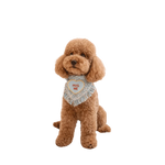 A light blue fringed true love coco bandana with a red love coco heart patch worn by a fluffy brown poodle