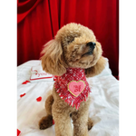A fluffy tan poodle wearing a red chusta true love coco plaid bandana with frayed edges and a pink true love heart patch