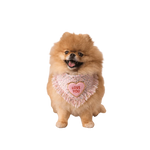 A fluffy tan pomeranian wearing a pink fringed heart-shaped chusta true love coco bandana with love you embroidery