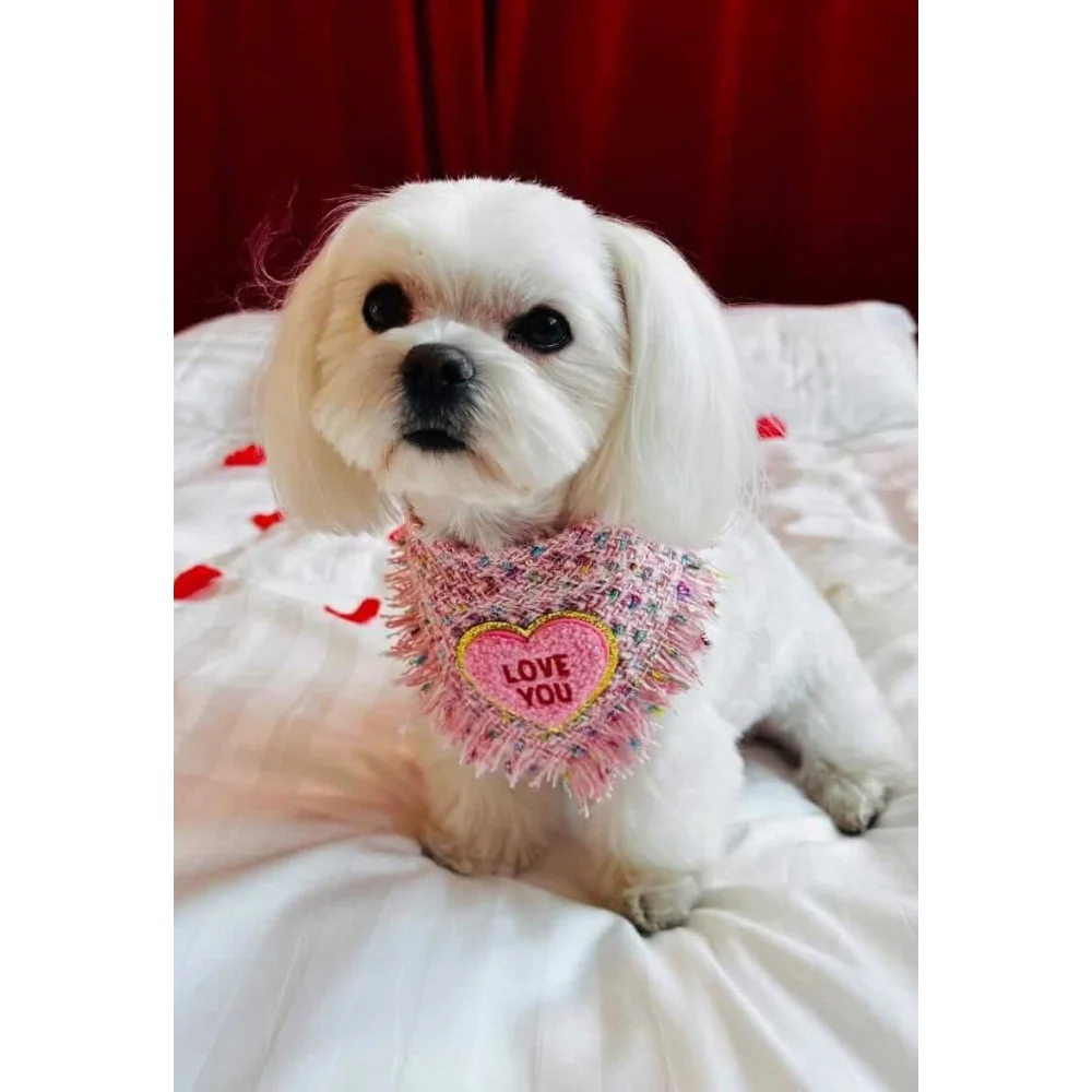 A fluffy white dog wearing a pink chusta true love coco fringed heart bandana with love you embroidery