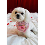 A fluffy white dog wearing a pink chusta true love coco fringed heart bandana with love you embroidery