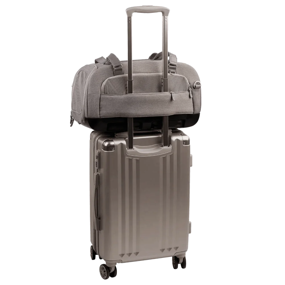 Elegancka srebrna walizka dupree ii merle transporter lotniczy z twardej powłoki i czterema kółkami