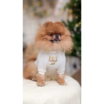 A fluffy pomeranian in a pink zestaw 2w1 dla psa with a white knit sweater of naturalnej wełny and gold lettering