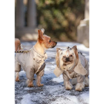 Two small dogs wearing beige kombinezon dla psa with detachable hood made of high-tech microfiber with fur trim