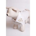 Cream-colored faux leather dog mannequin wearing a white linen koszula dla psa for cieplejsze dni with gold foil branding
