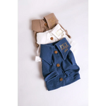 Blue denim-style koszula dla psa with gold-tone buttons and pet fashion patch ideal for cieplejsze dni