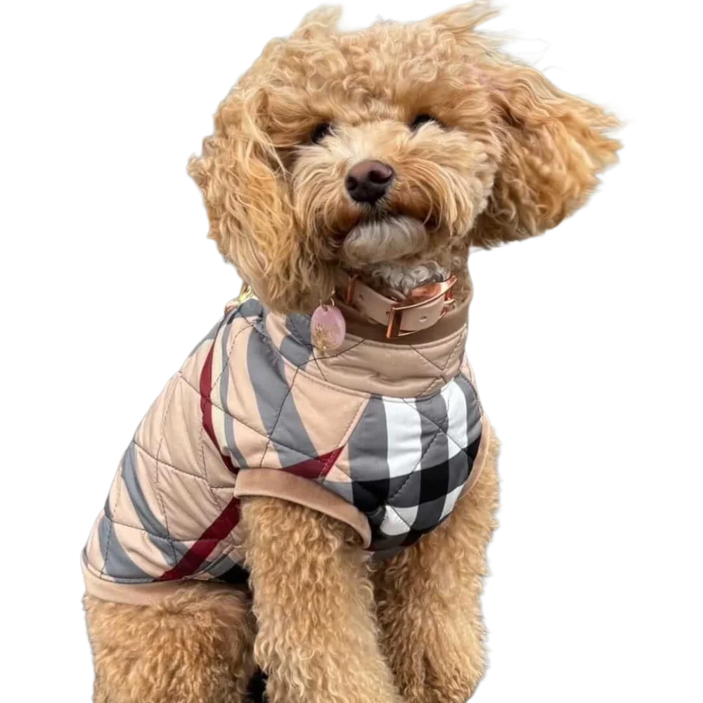 A tan and black checkered kurtka przeciwdeszczowa pikowana dog coat with red stripes and beige collar showing obwód szyi and obwód klatki measurements