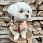 A tan quilted kurtka przeciwdeszczowa pikowana with fur for dogs in red and gray burberry check pattern