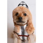 A fluffy tan dog wearing a black and white checkered kurtka przeciwdeszczowa pikowana with red trim and hood
