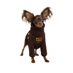 A small fluffy dog wearing bluza lara czekoladowy with mikropolarem alpejskim and gold buttons została zaprojektowana