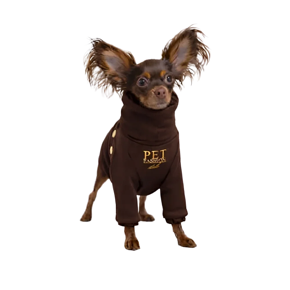 A small fluffy dog wearing bluza lara czekoladowy with mikropolarem alpejskim and gold buttons została zaprojektowana