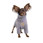 A small dog wearing a gray bluza dla psa made of mikropolarem alpejskim with gold pet fashion lettering on chest