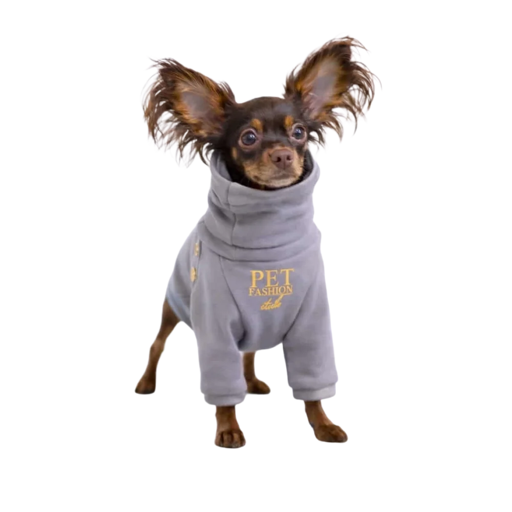 A small dog wearing a gray bluza dla psa made of mikropolarem alpejskim with gold pet fashion lettering on chest