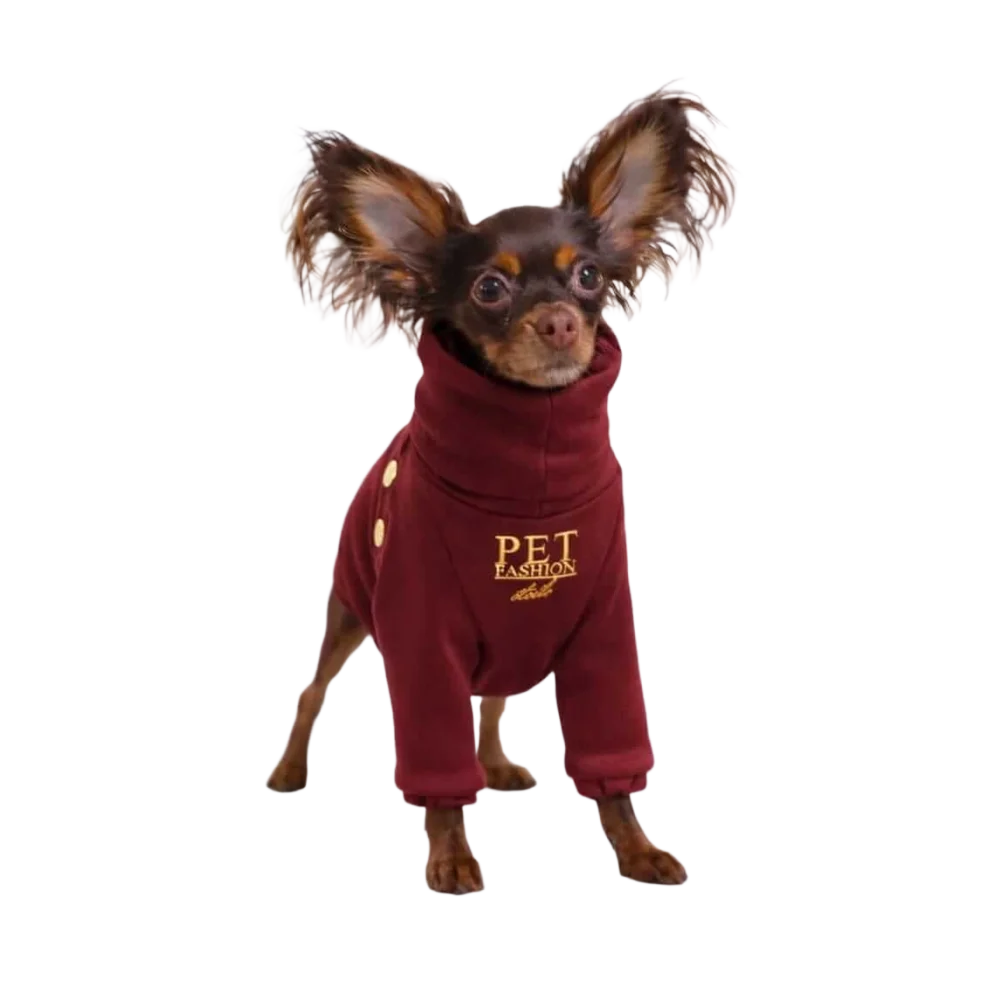 Maroon bluza dla psa with gold buttons and pet fashion embroidery made with mikropolarem alpejskim and velvet