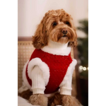 A fluffy brown dog wearing szelki tweedowe z futerkiem and a festive red sweterek z naturalnej wełny