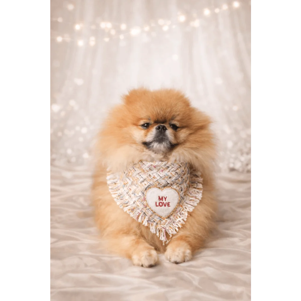 Fluffy tan pomeranian wearing a pastelowa chusta with a woven heart-shaped bandana dla psa from love coco