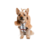 A fluffy tan yorkshire terrier wearing a beige przeciwdeszczowa pikowana coat with fur trim and argyle vest kratka