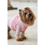 A fluffy yorkshire terrier wearing różowe szelki bezuciskowe dla psa with miękka futrzana podszewka and gold accents