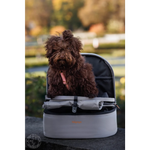 Fluffy brown dog sits inside plecak panorama moon mist in gray and black, ekskluzywne akcesoria dla psa i kota