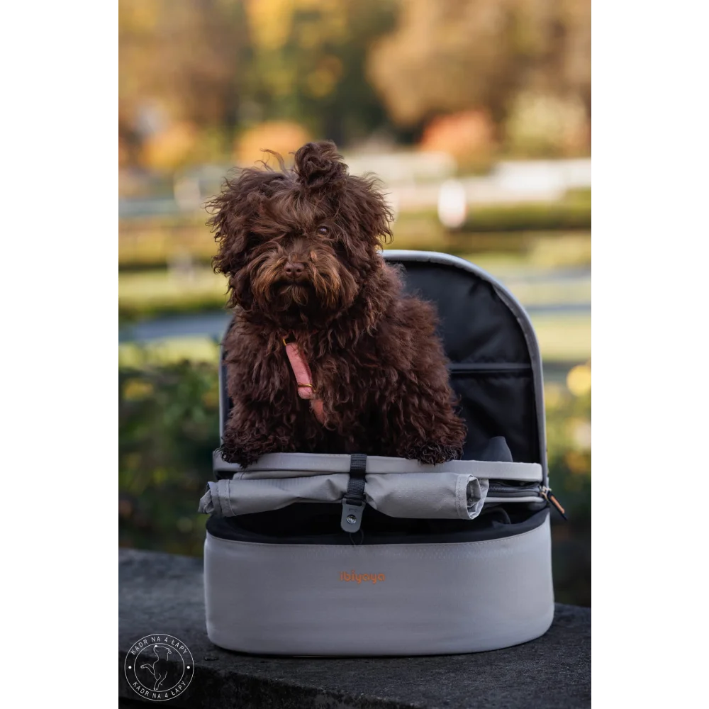 Fluffy brown dog sits inside plecak panorama moon mist in gray and black, ekskluzywne akcesoria dla psa i kota