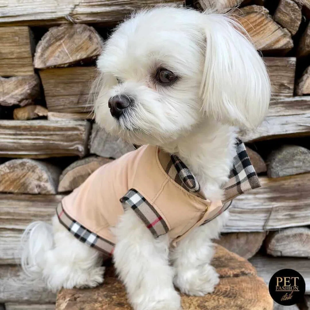A fluffy white dog wearing a beige and black plaid heritage bluza dla psa polo classic made of cotton and wool
