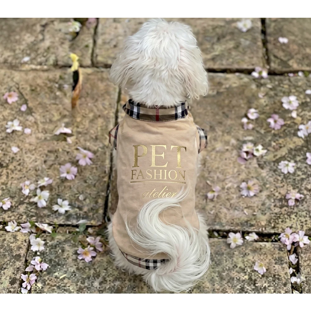 Fluffy biały pies w beżowej kamizelce polo classic inspirowany modą premium z bawełny i wełny