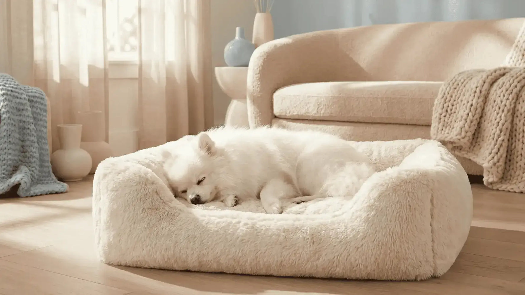 A fluffy white dog sleeping comfortably in a cozy bed in a bright living room with soft furnishings.