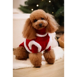 A fluffy brown poodle wearing a red and white glittery sweterek z naturalnej wełny and tweedowe z futerkiem szelki