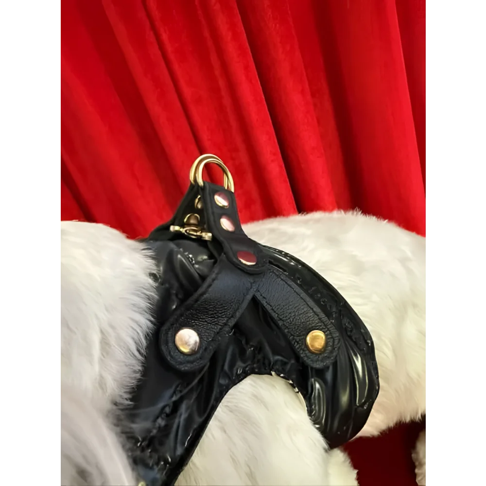 Black patent leather premium szelki dla psa with gold-toned hardware and red accents for adjustable obwód szyi
