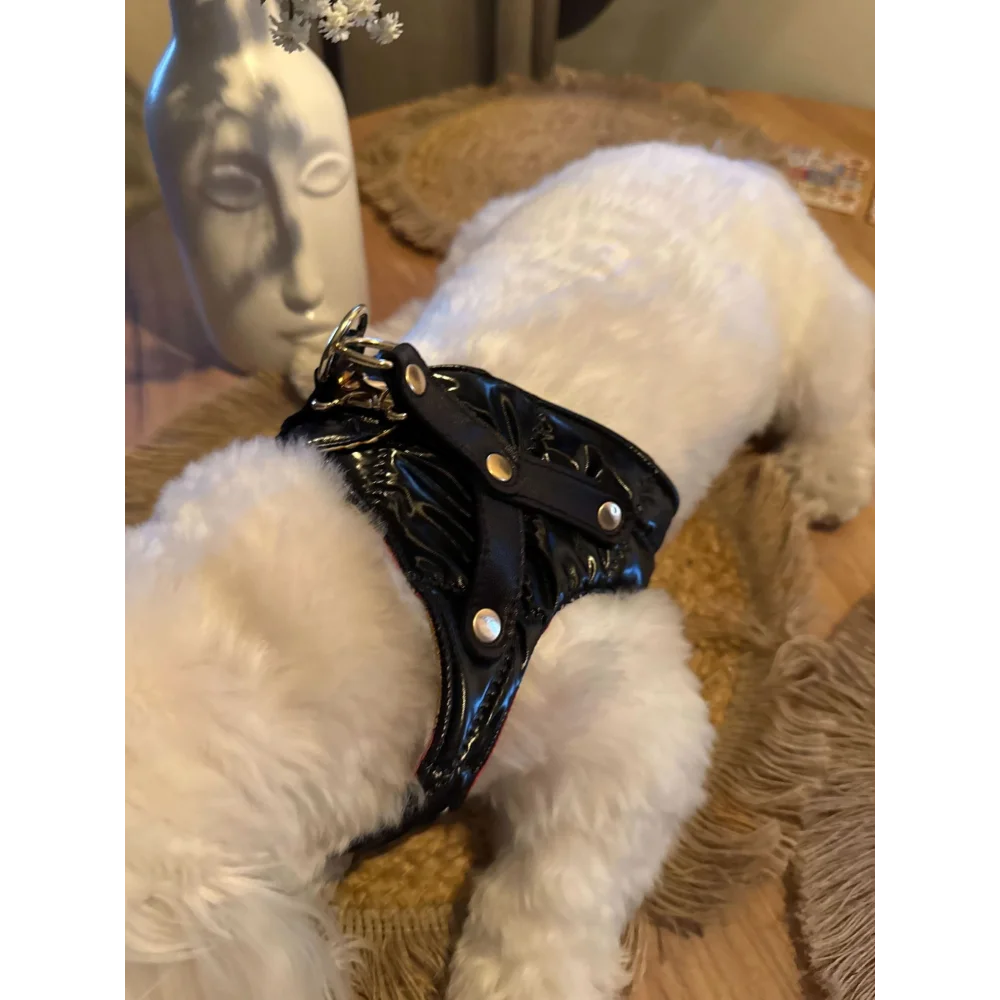 Black glossy leather premium szelki dla psa with gold-tone hardware and pearl-like studs designed for obwód szyi adjustment