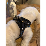 Black glossy leather premium szelki dla psa with gold-tone hardware and pearl-like studs designed for obwód szyi adjustment