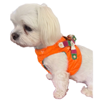 Silky paw premium pomarańcz szelki dla psa quilted with purple and green striped accents