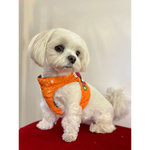 Silky paw premium szelki dla psa in bright orange quilted material with green and pink accents worn by small white dog