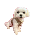 A small white dog wearing silky paw premium szelki dla psa in a shiny gold quilted vest szelki dla psa