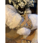 Silky paw premium szelki dla psa gold quilted harness with tan leather straps and silver metal hardware in szampański color