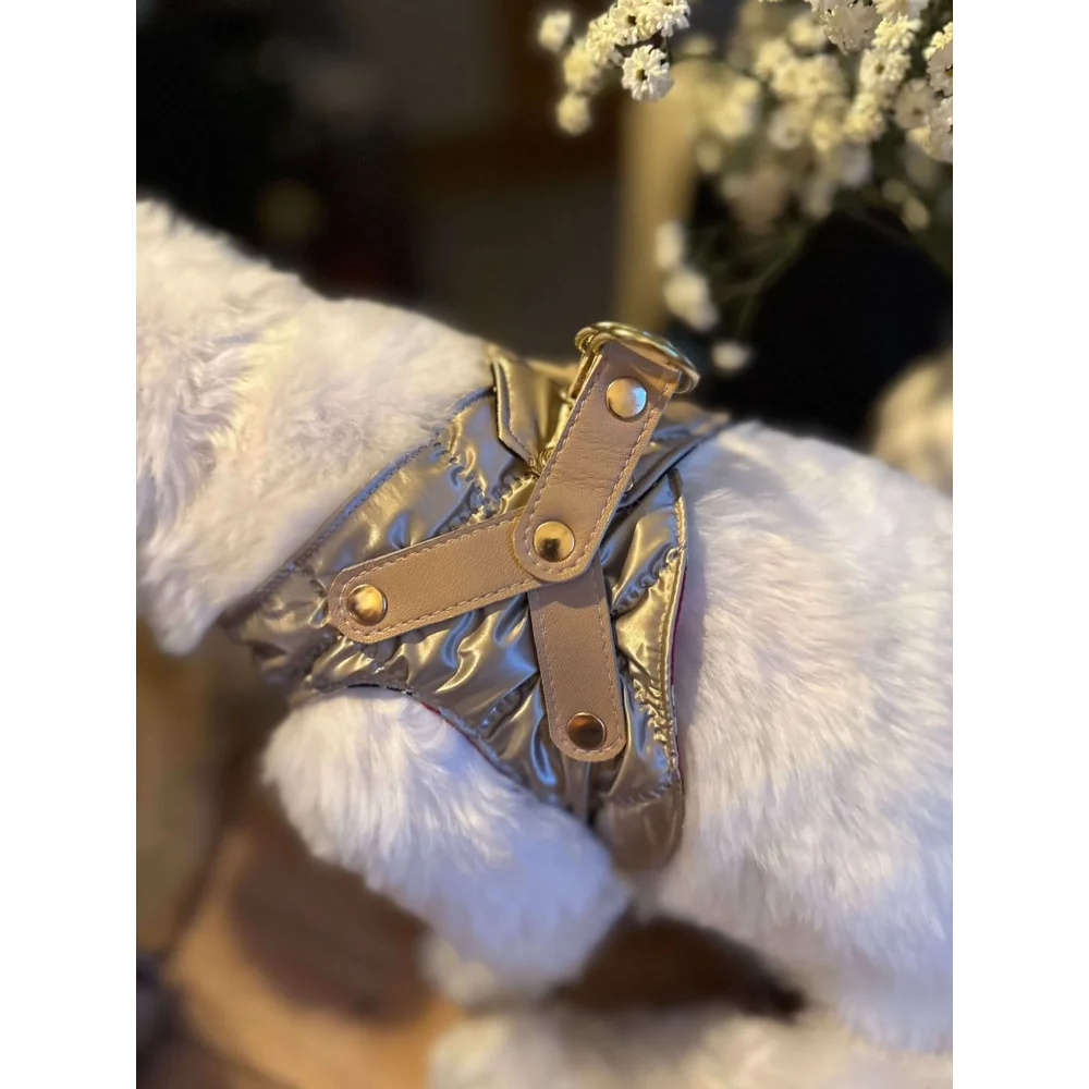 Silky paw premium szelki dla psa in shiny metallic gold with tan leather straps and brass hardware in szampański color