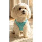 Turquoise quilted silky paw szelki dla psa with soft padded design ideal for adjustable obwód szyi comfort