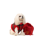 Red drawstring bag with gold pet fashion lettering and logo for sweterek z naturalnej wełny dla małych ras product