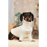 A dachshund wearing a white long-sleeved sweterek z naturalnej wełny dla małych ras with gold pet embroidery