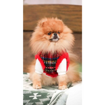Fluffy orange pomeranian wearing a colorful geometric sweterek z naturalnej wełny dla małych ras